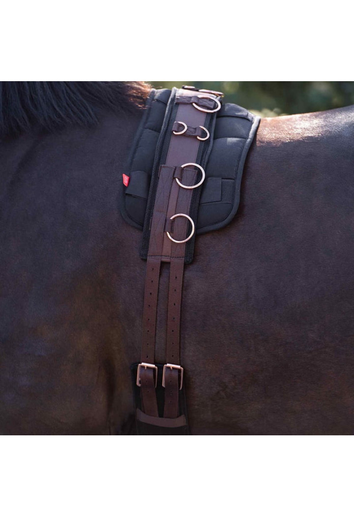 Pas do lonżowania Imperial Riding Deluxe Extra
