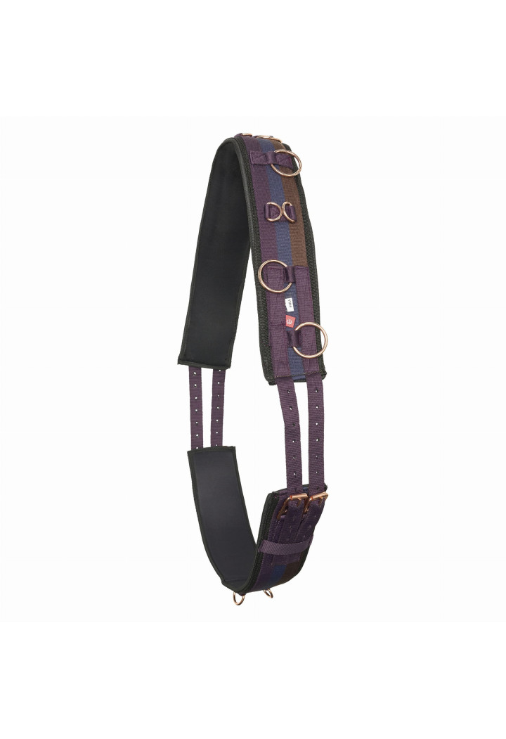 Pas do lonżowania Imperial Riding Deluxe Extra