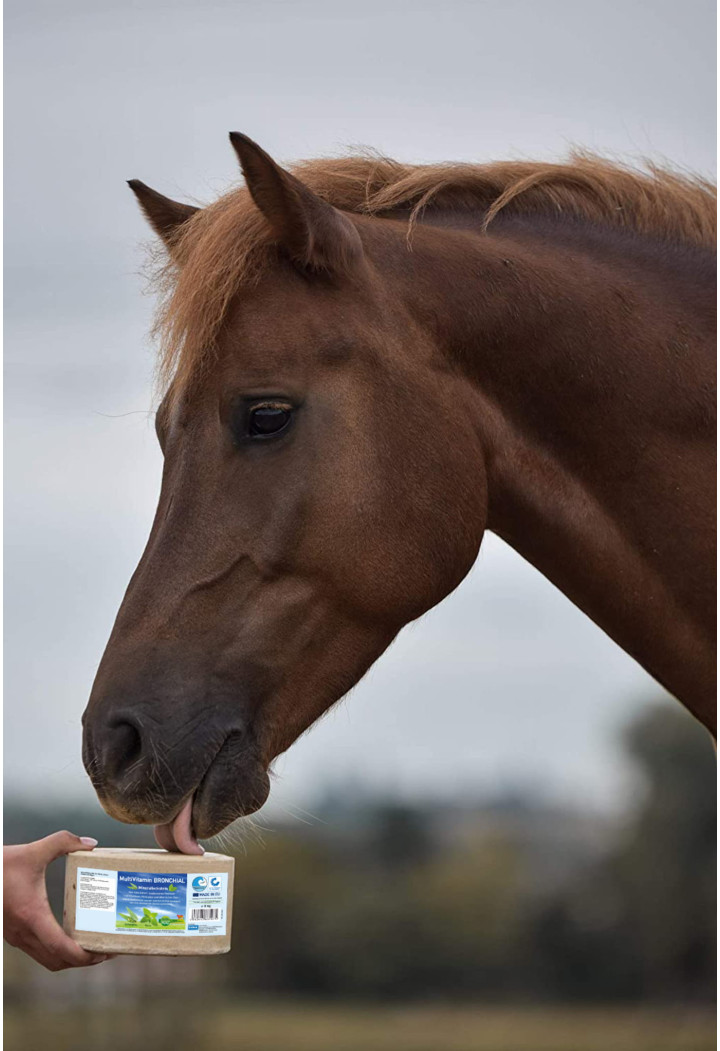 Lizawka mineralna IMIMA MultiVitamin Bronchial 3kg