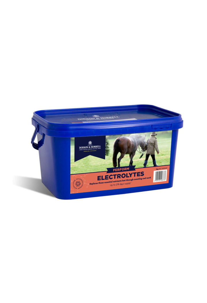 Elektrolity D&H Electrolytes proszek 2kg