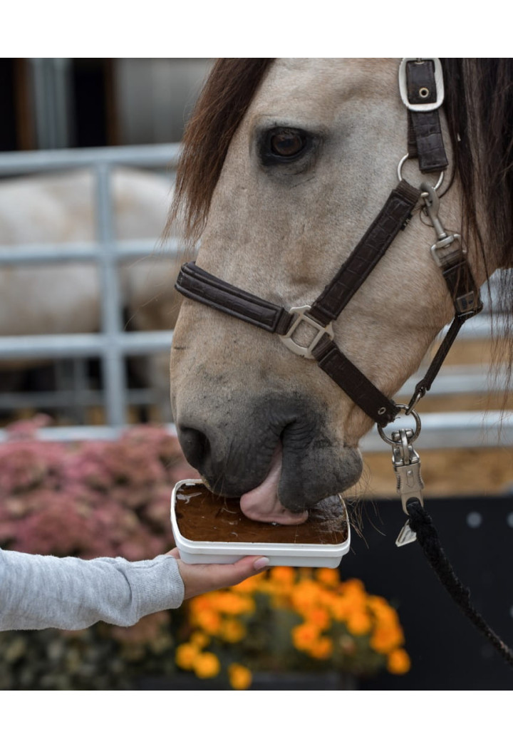 Lizawka melasowa ENERGY LICKS Bananowa 750g