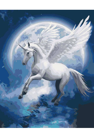 Obraz IDEYKA malowanie po numerach 4022 40x50