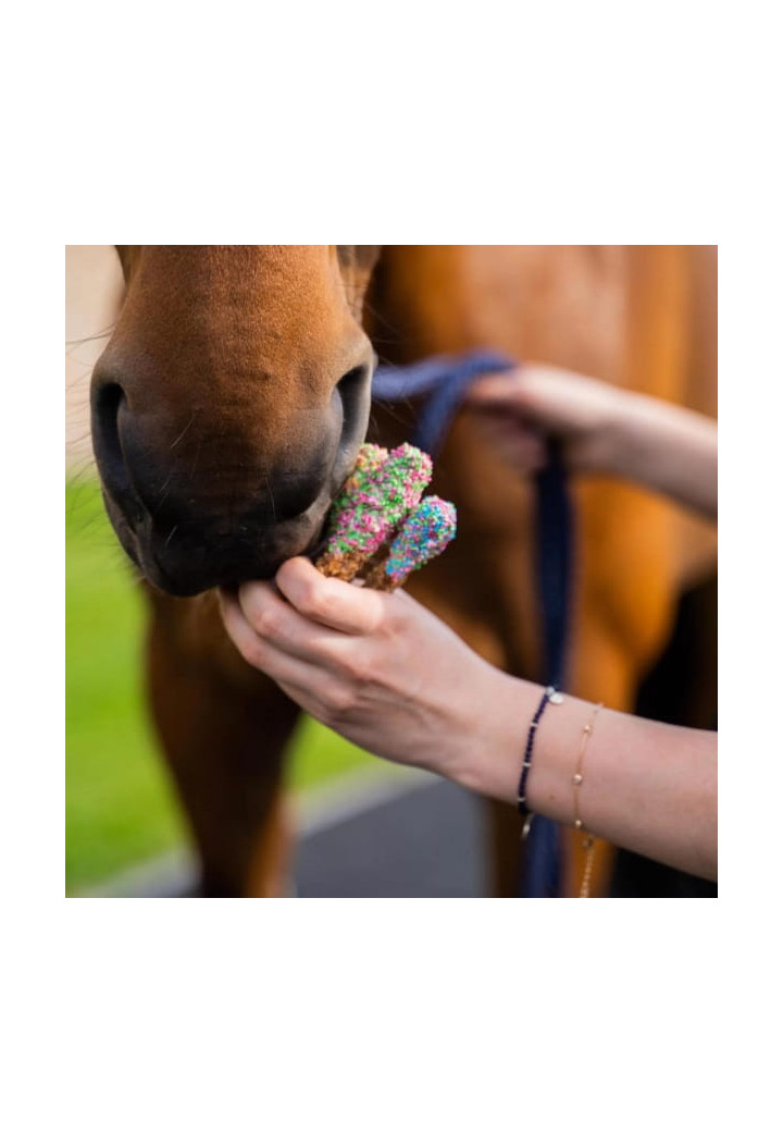 Przysmak KOŃSKA CUKIERENKA lizaczki małe