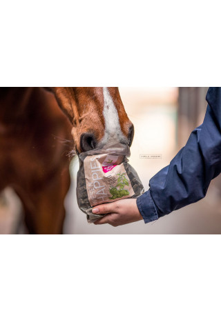 Przysmak dla koni B&E HappiesWiesen WKrauter 1kg