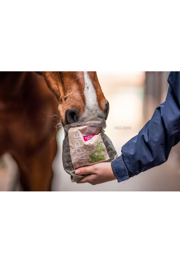Przysmak dla koni B&E HappiesWiesen WKrauter 1kg
