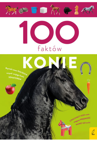 Książeczka edukacyjna WILGA 100 Faktów Konie
