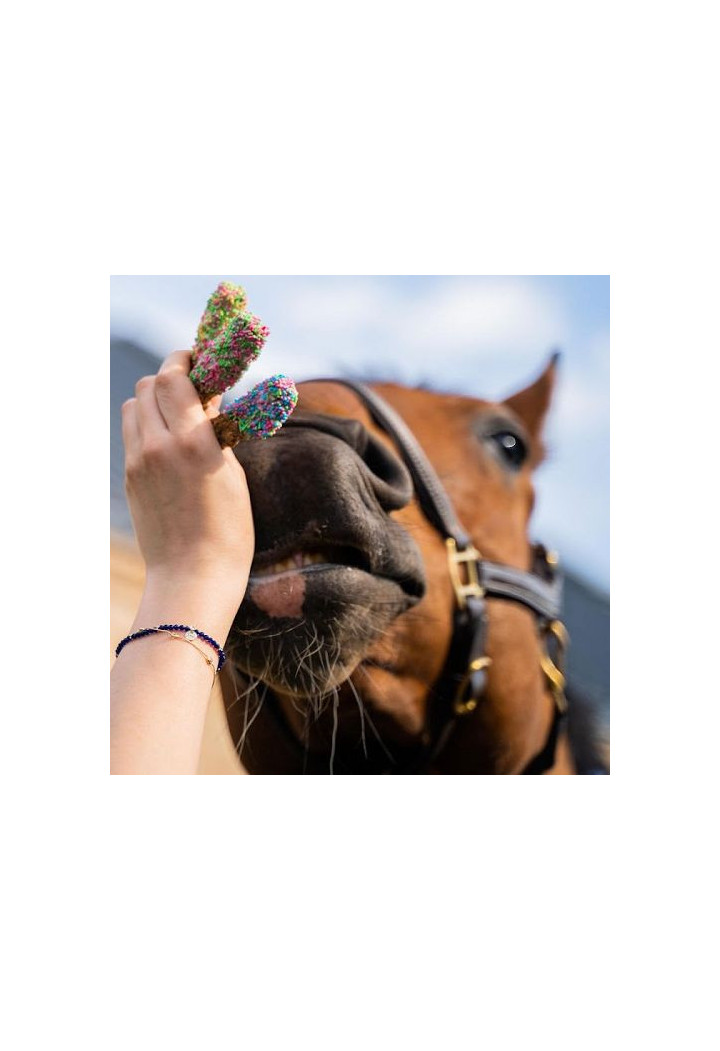 Przysmak KOŃSKA CUKIERENKA lizaczki duże