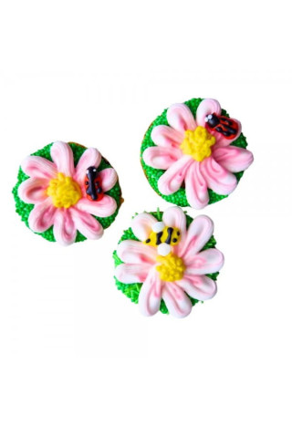 Przysmak KOŃSKA CUKIERENKA muffinka stokrotka