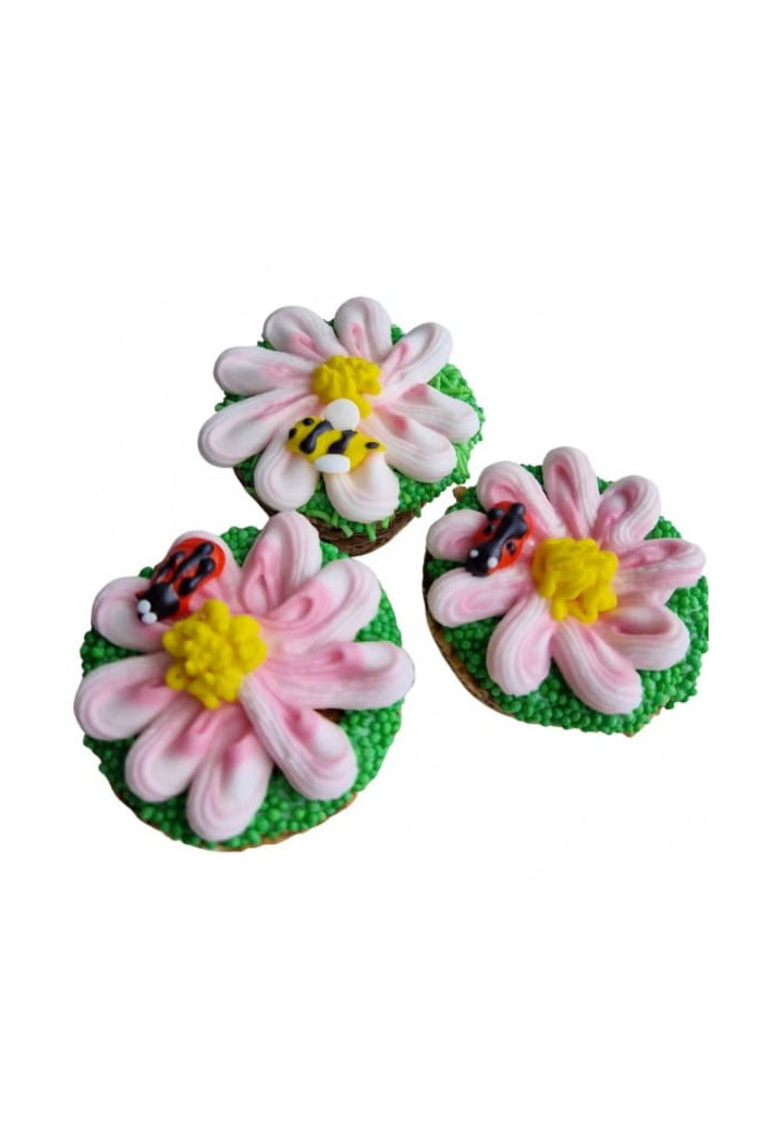 Przysmak KOŃSKA CUKIERENKA muffinka stokrotka