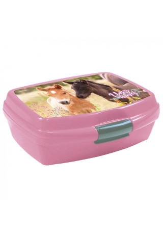 Pudełko śniadaniowe DERFORM Konie24