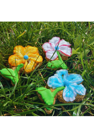 Ciastko PAKA DLA RUMAKA Kwiatek mix