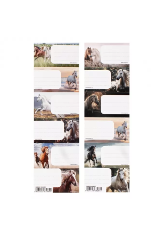 Naklejki na zeszyt STARPAK Horses