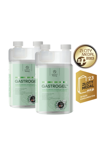 Suplement na wrzody HIPPOVET Gastrogel 2x1,2l