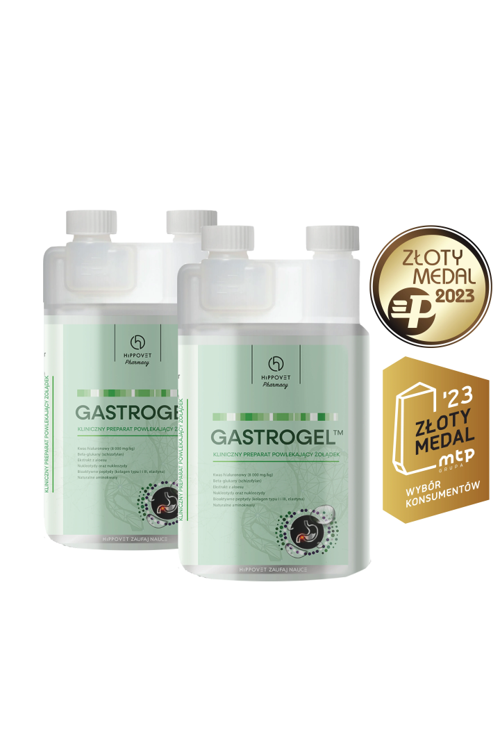 Suplement na wrzody HIPPOVET Gastrogel 2x1,2l
