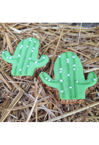 Ciastko PAKA DLA RUMAKA Kaktus