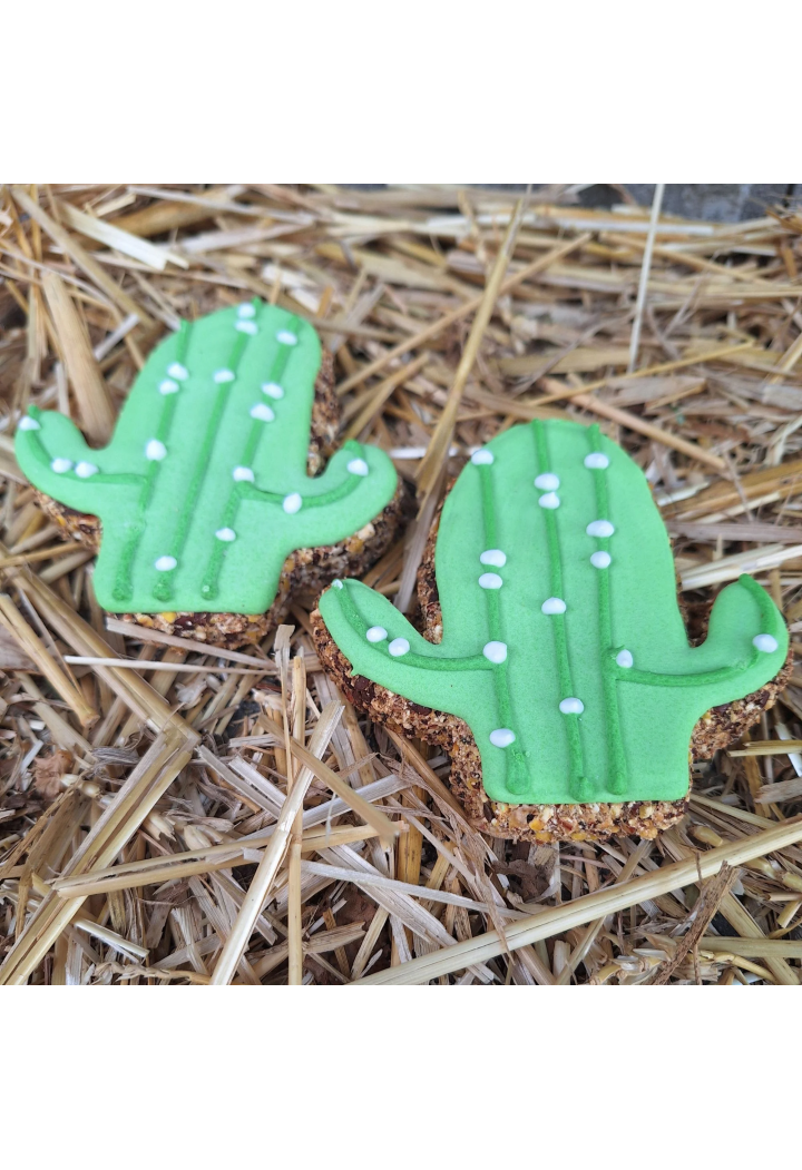 Ciastko PAKA DLA RUMAKA Kaktus
