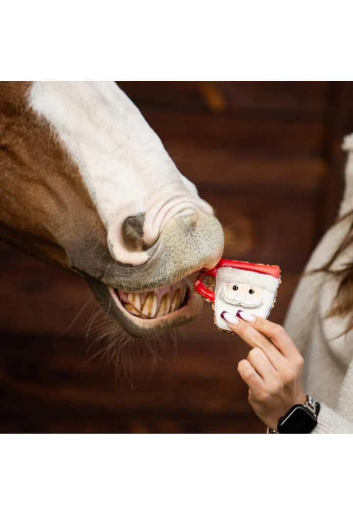 Przysmak KOŃSKA CUKIERENKA piernik AW24 mikołaj