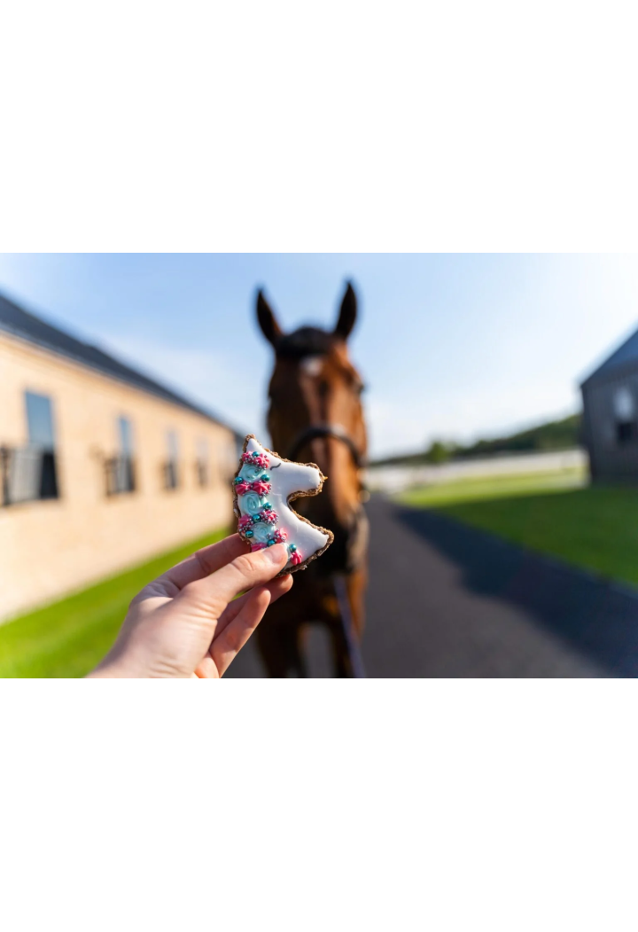 Przysmak KOŃSKA CUKIERENKA piernik AW24 jednorożec