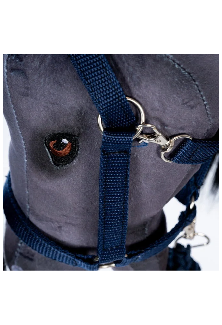 Kantar z uwiązem ASTRUP HobbyHorse blue