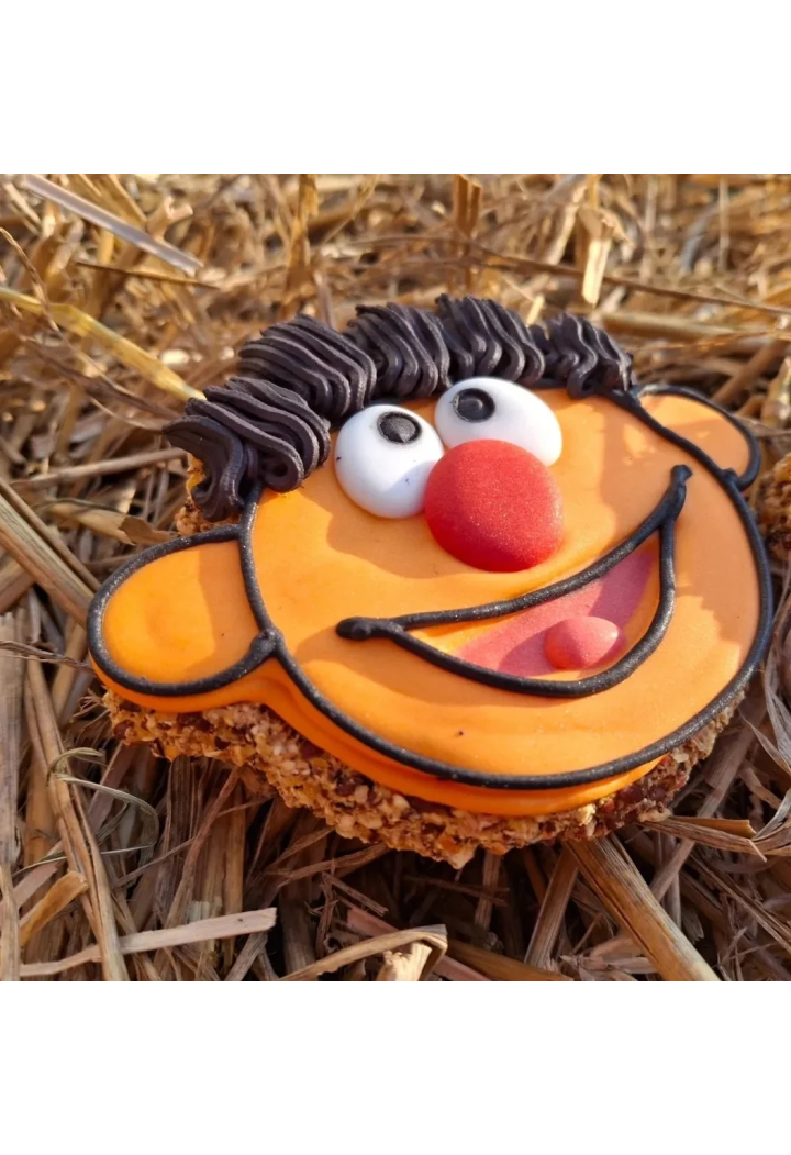 Ciastko PAKA DLA RUMAKA Ernie