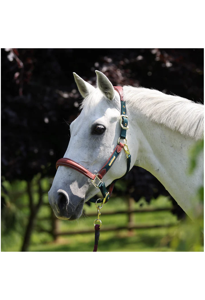 Kantar skórzany SHIRES Velociti Lusso