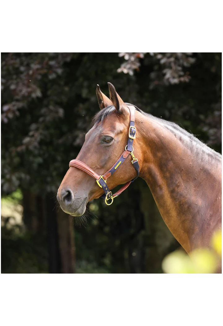 Kantar skórzany SHIRES Velociti Lusso