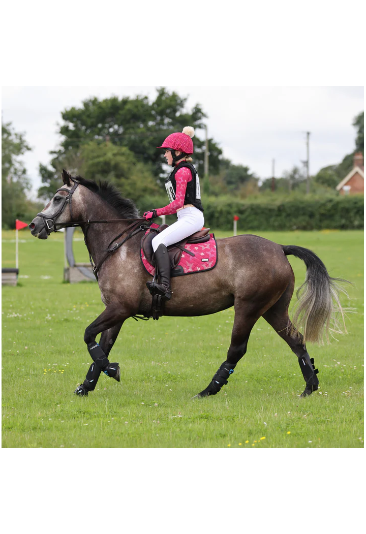 Czaprak SHIRES Aubrion Hyde Park star