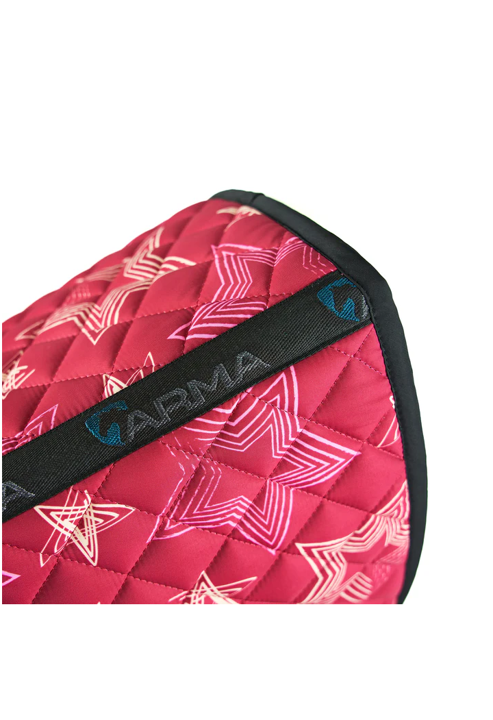 Czaprak SHIRES Aubrion Hyde Park star