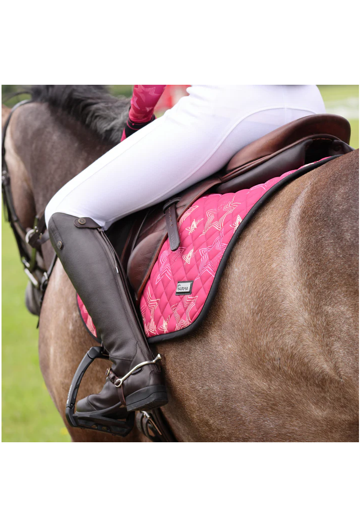 Czaprak SHIRES Aubrion Hyde Park star