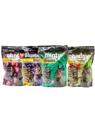 Przysmak dla koni NAF Treats 1kg