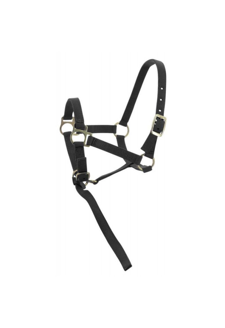 Kantar EKKIA headcollar + lead rope