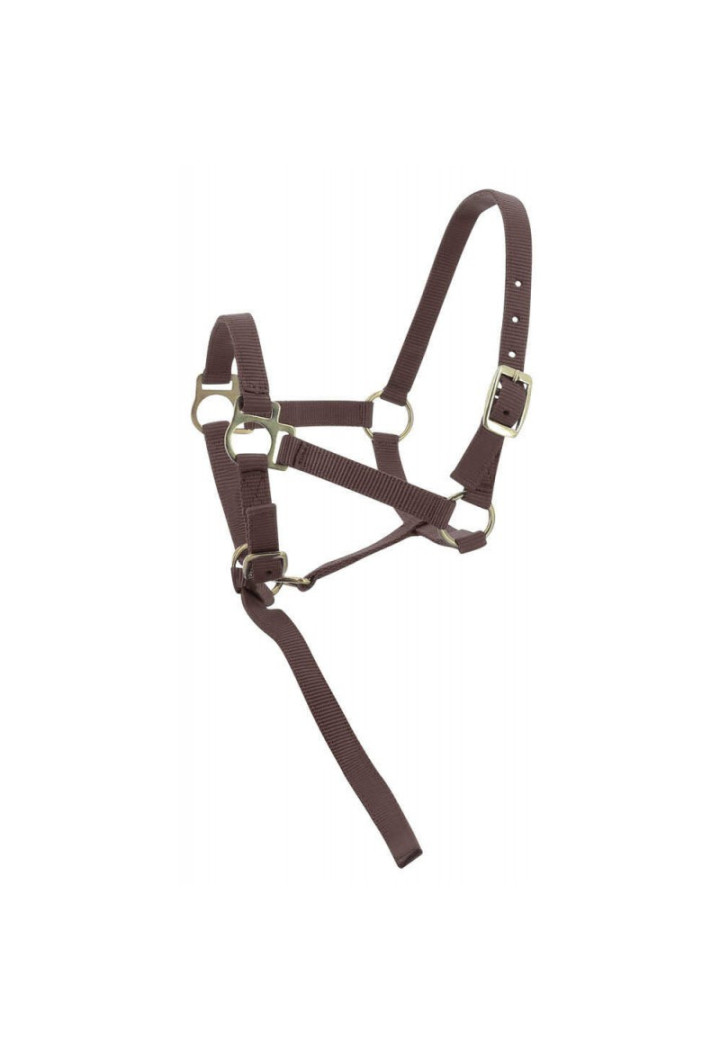 Kantar EKKIA headcollar + lead rope