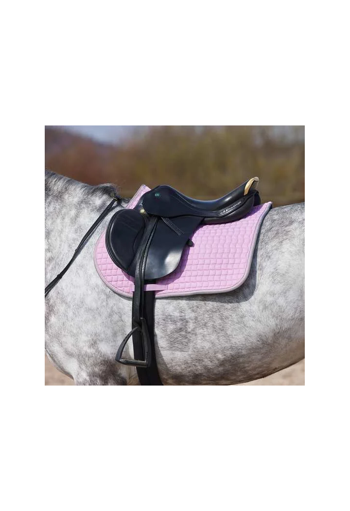 Czaprak HORZE Adepto