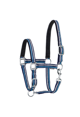 Kantar START ZariSilverMini