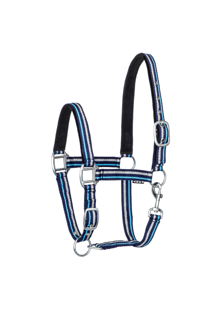 Kantar START ZariSilverMini