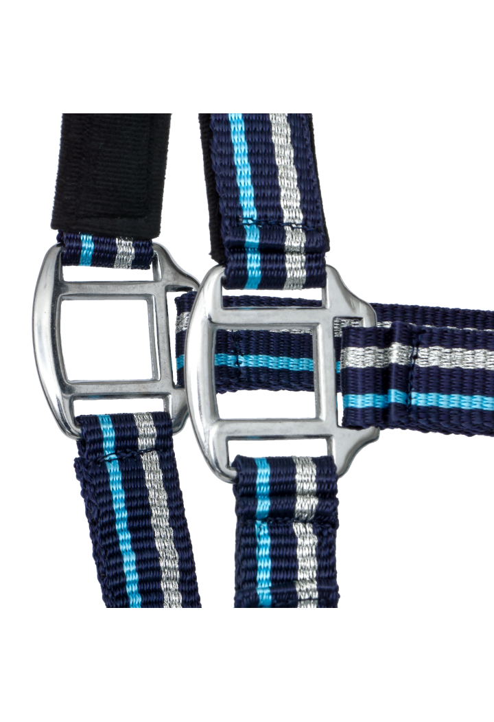 Kantar START ZariSilverMini