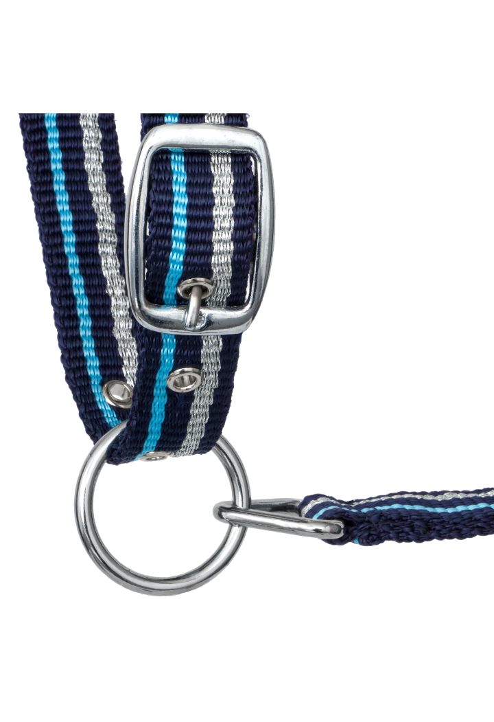 Kantar START ZariSilverMini