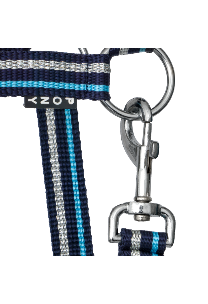 Kantar START ZariSilverMini