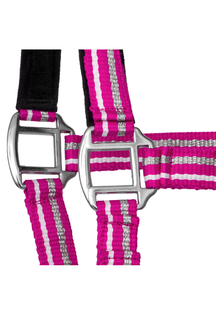 Kantar START ZariSilverMini