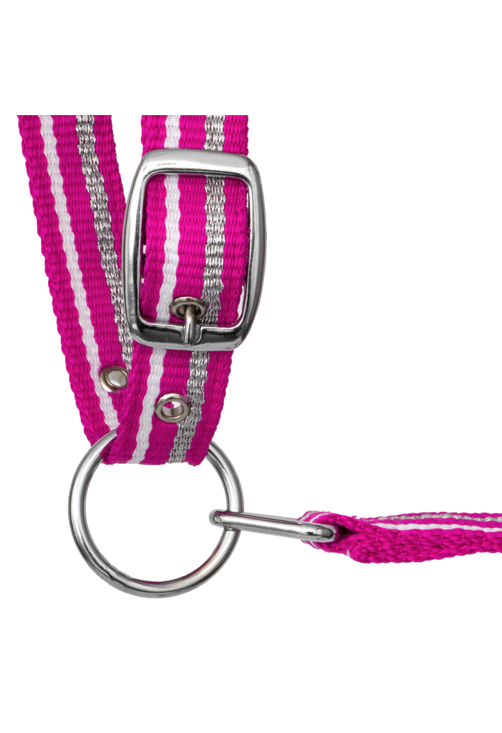 Kantar START ZariSilverMini