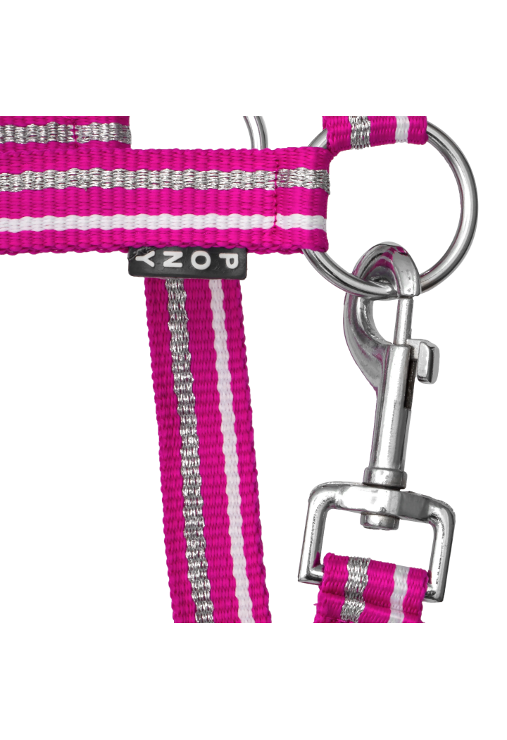 Kantar START ZariSilverMini