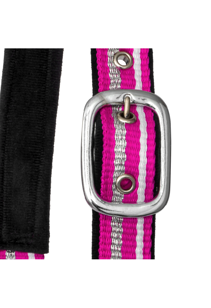 Kantar START ZariSilverMini