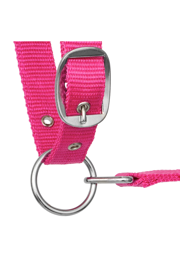 Kantar START ILoveMyHorse ranipink