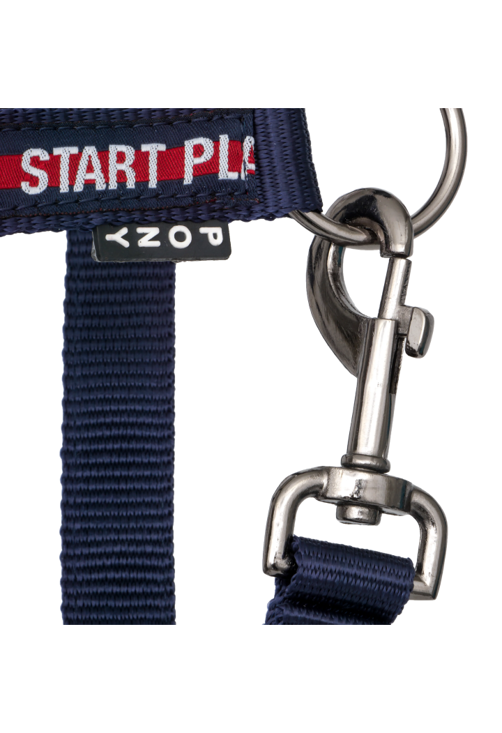 Kantar START StartPlay