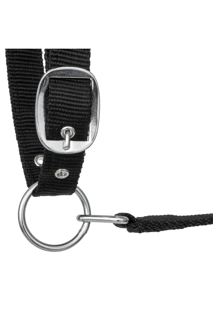 Kantar START PremiumDiamonds