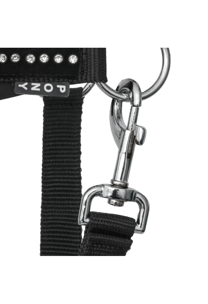 Kantar START PremiumDiamonds