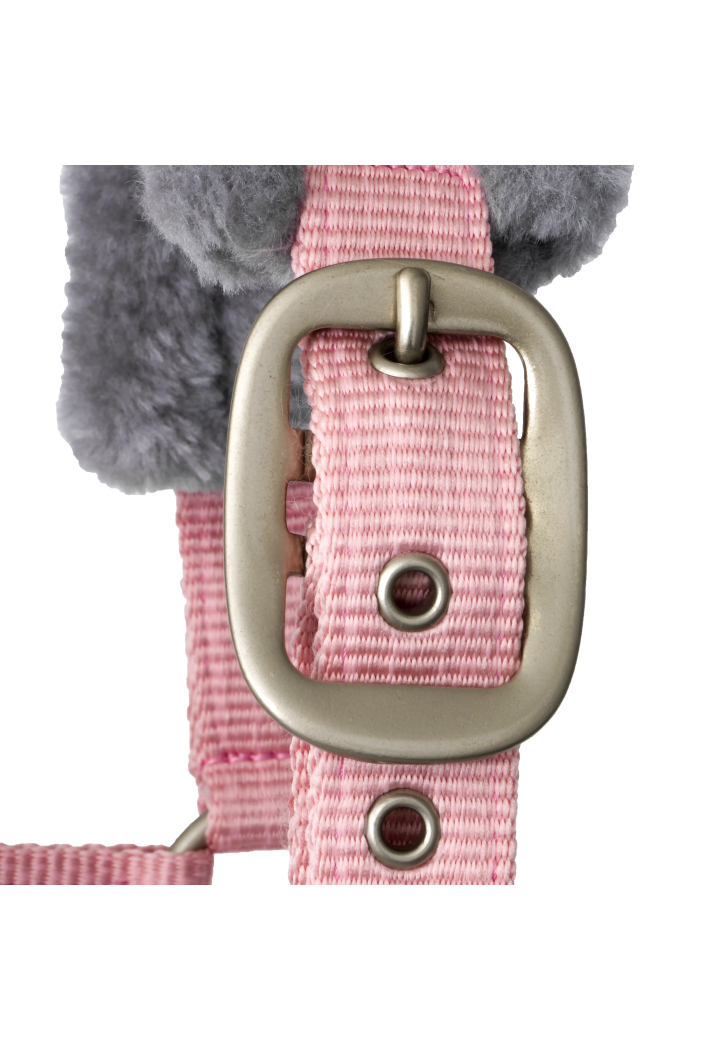 Kantar START Elegance