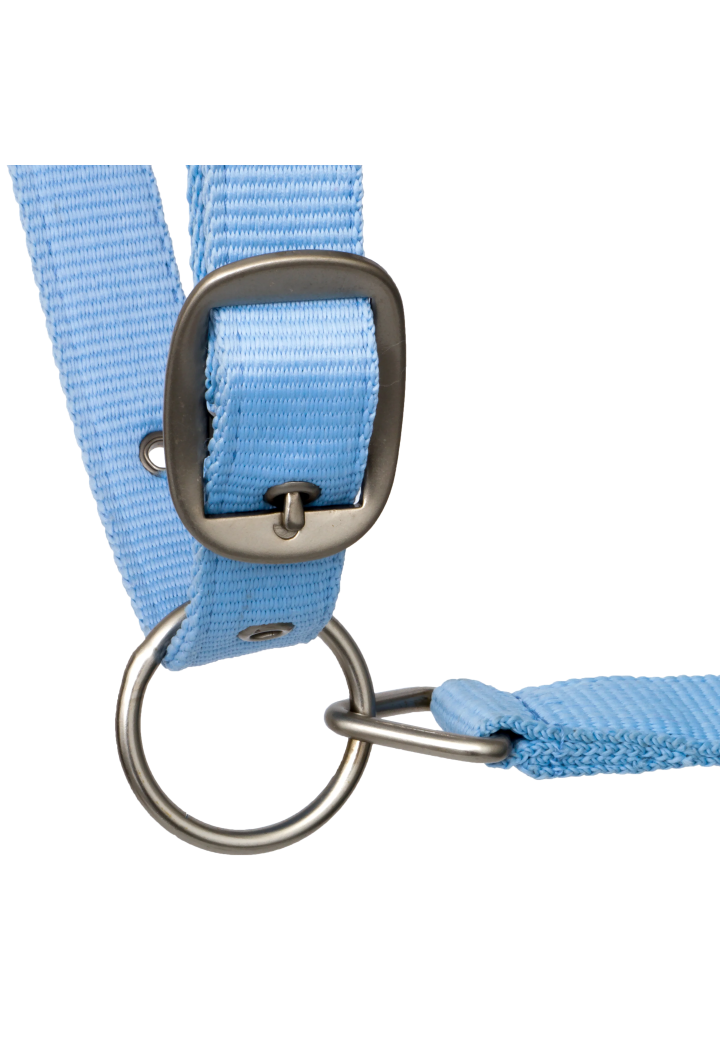 Kantar START Elegance