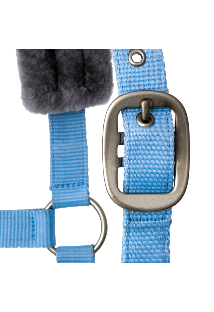 Kantar START Elegance