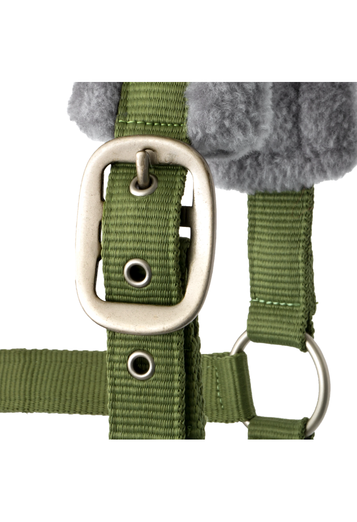 Kantar START Elegance